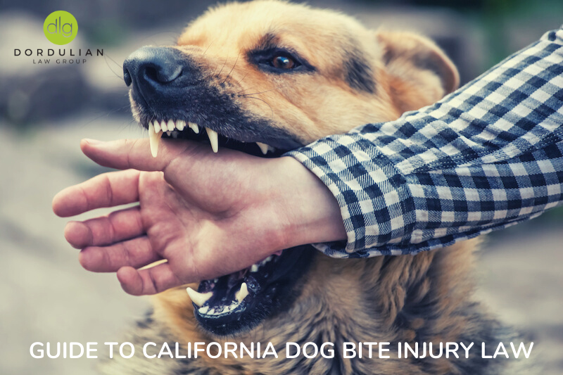 Guide To California Dog Bite Injury Law