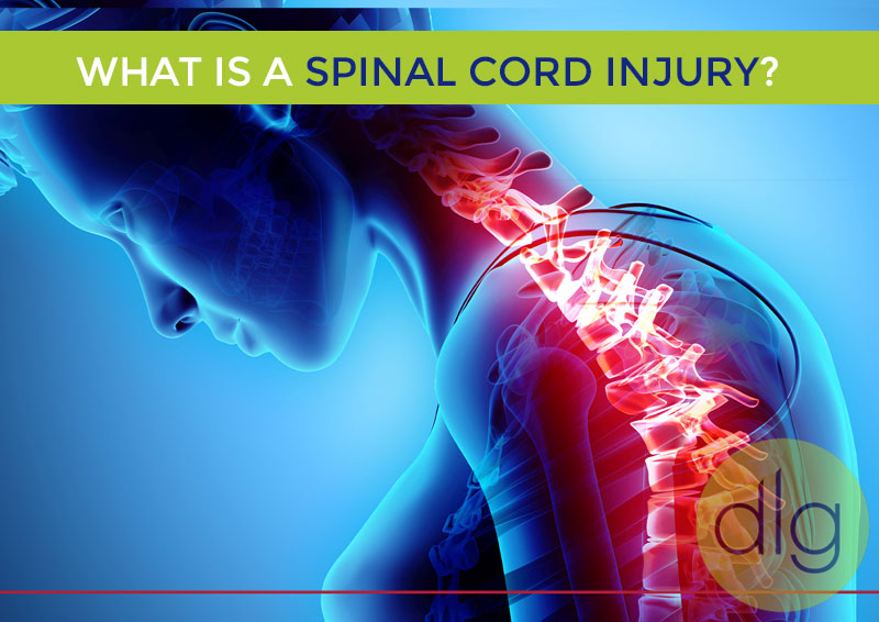 ¿Qué es una lesión de la médula espinal?