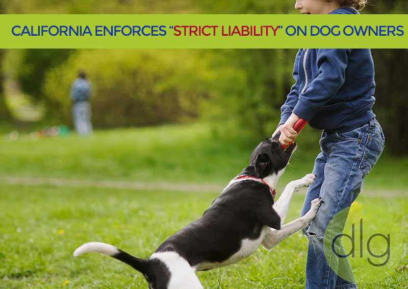 California enforces strict liability on dog owners.