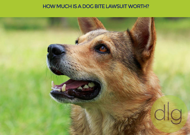 How Much is a Dog Bite Lawsuit Worth?