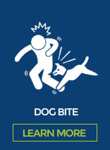 Dog Bite attorney
