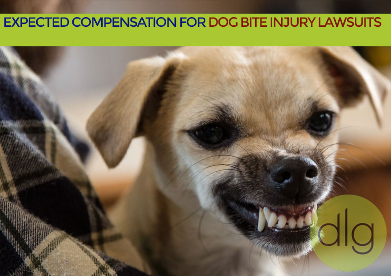 Expected Compensation for Dog Bite Injury Lawsuits