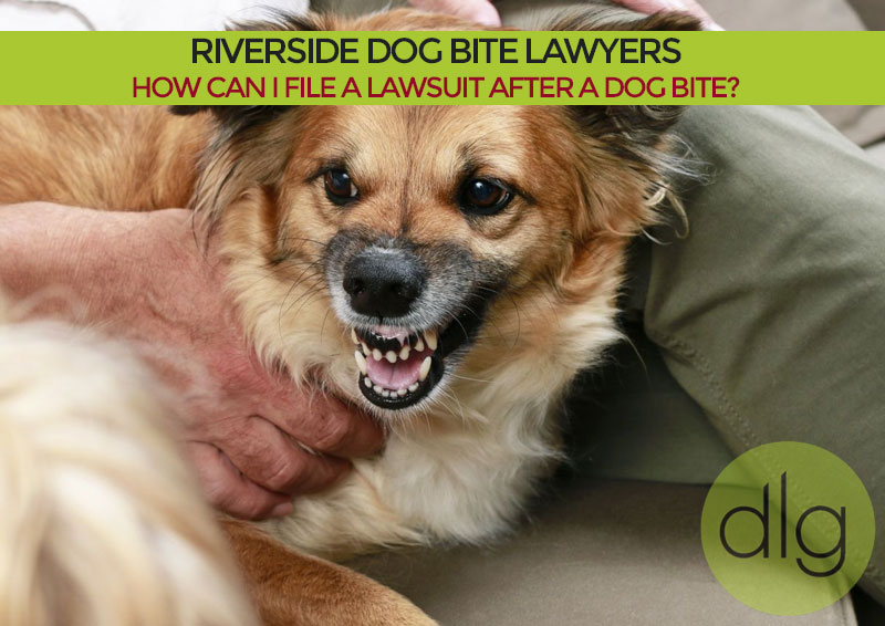 Riverside, California Dog Bite Lawyers