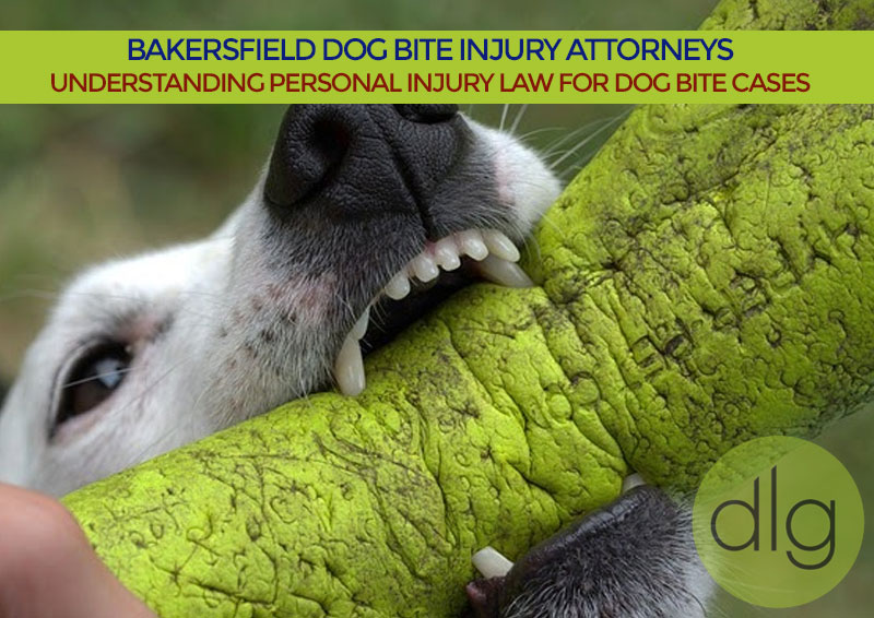 Understanding Personal Injury Law For Dog Bite Cases
