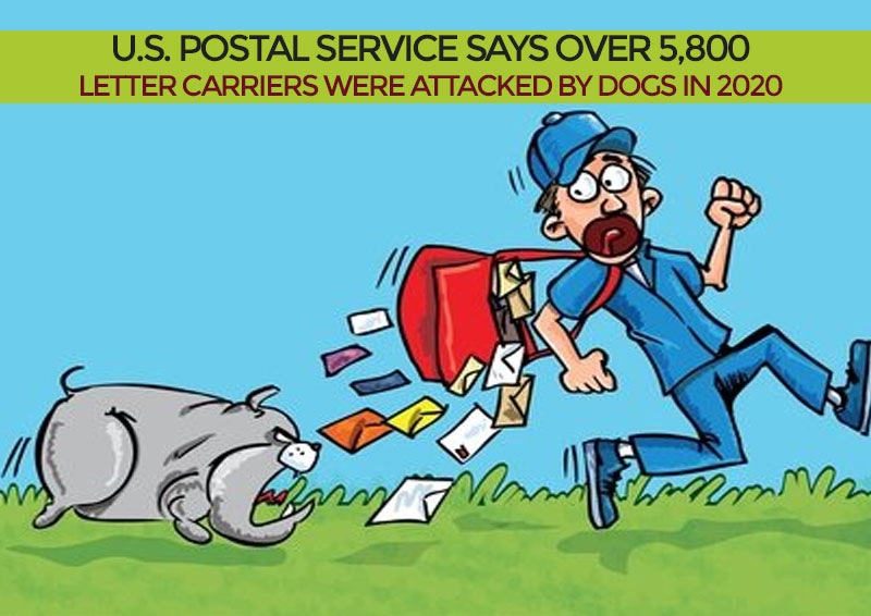 U.S. Postal Service Says Over 5,800 Letter Carriers Were Attacked by Dogs in 2020