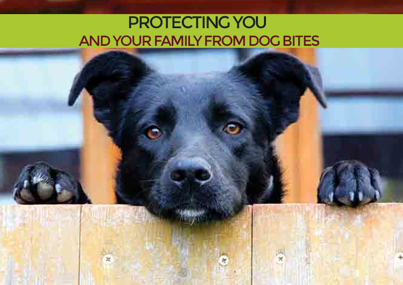 Protecting You and Your Family From Dog Bites