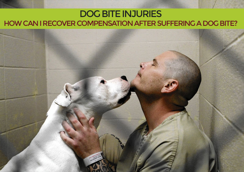How Can I Recover Compensation After Suffering a Dog Bite?