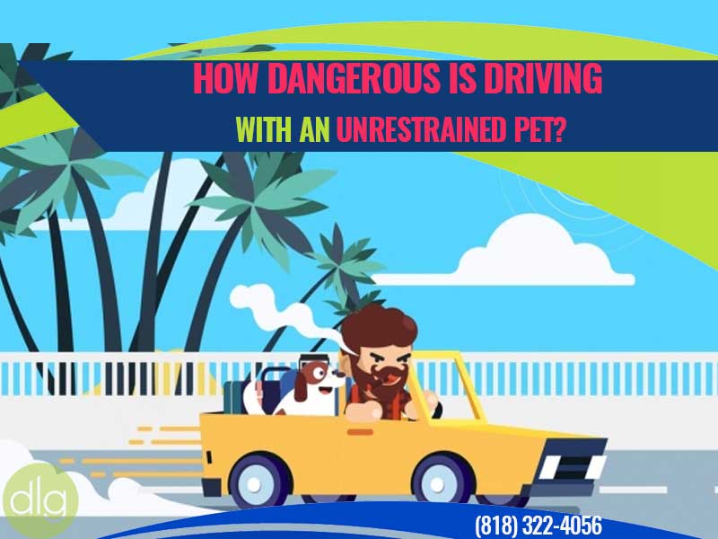 How Often Do Unrestrained Pets Cause Car Accidents?