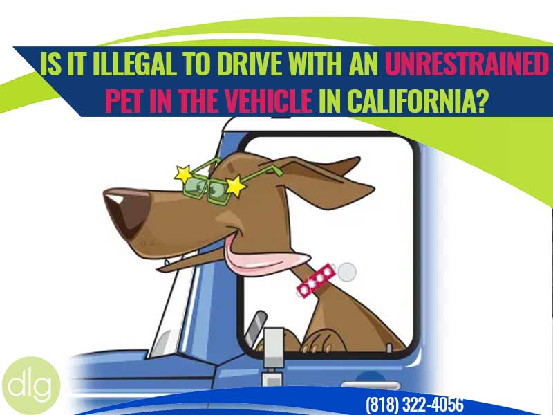 Is it Illegal to Drive With an Unrestrained Pet in the Vehicle in California?