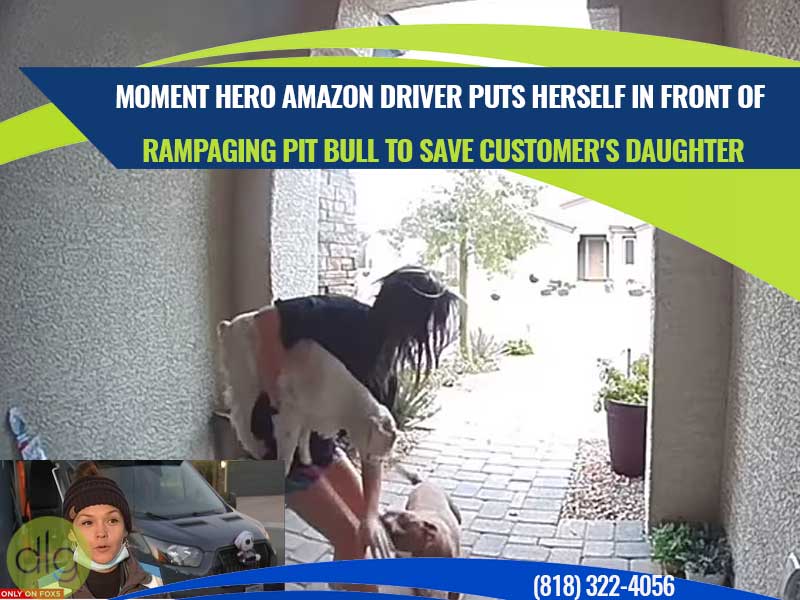 Moment hero Amazon driver puts herself in front of rampaging pit bull to save customer's daughter