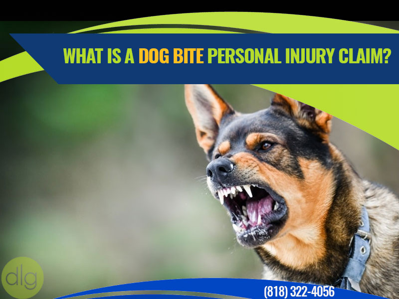 Can I File a Dog Bite Personal Injury Lawsuit?